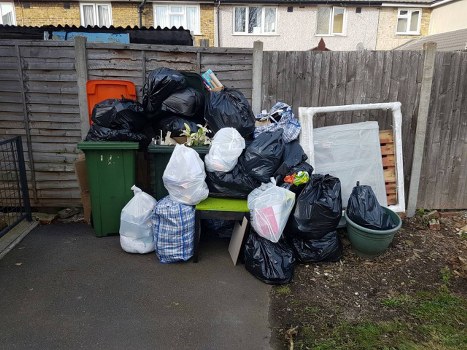 Professionals removing garden waste in Hampstead Heath